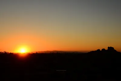 DSC_1472 (Large).JPG